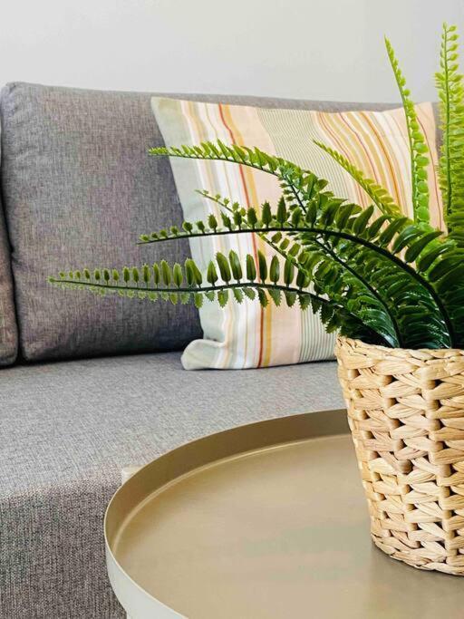 Nice & Cozy Flat Close The Beach 발렌시아 외부 사진